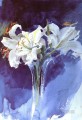 Vita Liljor destacado pintor sueco Anders Zorn Impresionismo Flores